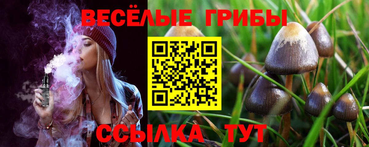 где можно купить   Вход с VPN  Аргун  Галлюциногенные грибы Psilocybe 